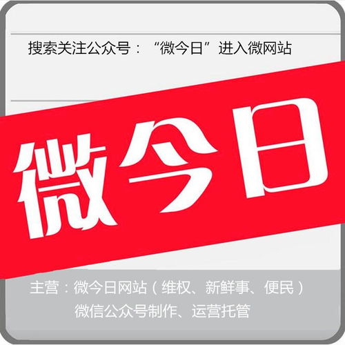 合肥市微今日網(wǎng)絡(luò)服務(wù) 驅(qū)動(dòng)城市數(shù)字化轉(zhuǎn)型的智慧引擎
